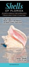 Cover art for Shells of Florida-Atlantic Ocean & Florida Keys: A Beachcomber’s Guide to Coastal Areas