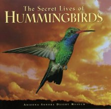 Cover art for The Secret Lives of Hummingbirds