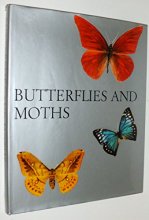 Cover art for Butterflies and Moths