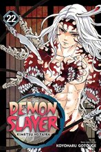 Cover art for Demon Slayer: Kimetsu no Yaiba, Vol. 22 (22)