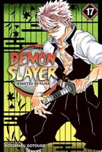 Cover art for Demon Slayer: Kimetsu no Yaiba, Vol. 17