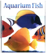 Cover art for Aquarium Fish
