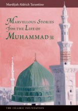 Cover art for Marvellous Stories From the Life of Muhammad (Muslim Childrens Library)