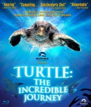 Cover art for Turtle: The Incredible Journey [Blu-ray]