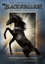 Cover art for Adventures of Black Stallion The Complet Third Season 