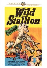 Cover art for Wild Stallion