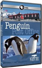 Cover art for Nature: Penguin Post Office