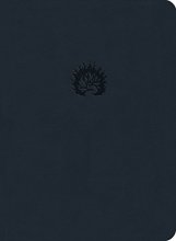 Cover art for Reformation Study Bible (2015) ESV, Leather-Like Navy