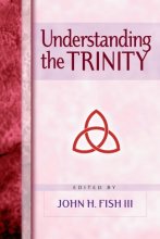 Cover art for Understanding the Trinity