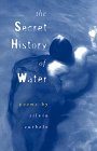 Cover art for The Secret History of Water