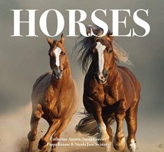 Cover art for Horses