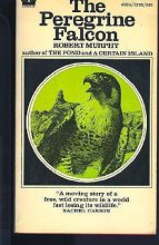 Cover art for The Peregrine Falcon (An Avon Camelot Book)