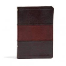 Cover art for NIV Rainbow Study Bible, Saddle Brown LeatherTouch