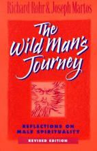 Cover art for The Wild Man's Journey: Reflections on Male Spirituality