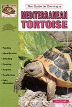Cover art for Mediterranean Tortoises