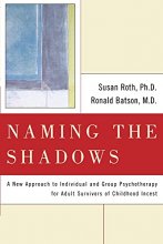 Cover art for Naming the Shadows