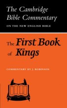 Cover art for The First Book of Kings (Cambridge Bible Commentaries on the Old Testament)