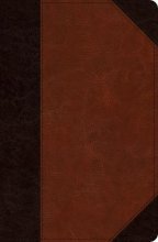 Cover art for ESV Verse-by-Verse Reference Bible (TruTone, Brown/Cordovan, Portfolio Design)