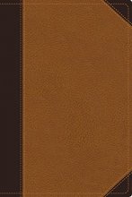 Cover art for NIV Zondervan Study Bible, Large Print, Leathersoft, Brown/Tan: Built on the Truth of Scripture and Centered on the Gospel Message