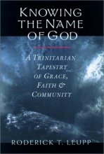 Cover art for Knowing the Name of God: A Trinitarian Tapestry of Grace, Faith & Community