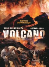 Cover art for The Volcano Disaster