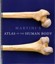Cover art for Martini's Atlas of the Human Body (ME Component)