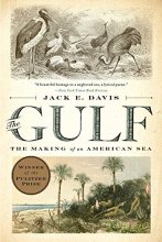Cover art for The Gulf: The Making of An American Sea