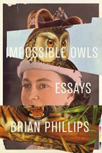 Cover art for Impossible Owls