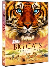 Cover art for Big Cats: Secret Lives