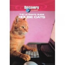 Cover art for HOUSE CATS-The Ultimate Guide Series