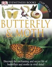 Cover art for DK Eyewitness Books: Butterfly and Moth