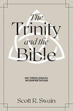 Cover art for The Trinity & the Bible: On Theological Interpretation