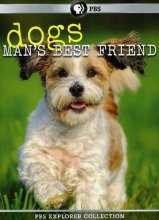 Cover art for PBS Explorer Collection: Dogs: Mans Best Friend