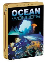 Cover art for Ocean Wonders
