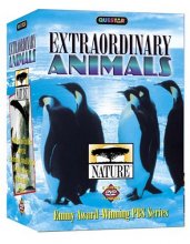 Cover art for Nature: Extraordinary Animals