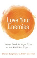Cover art for Love Your Enemies: How to Break the Anger Habit & Be a Whole Lot Happier
