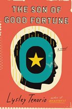 Cover art for The Son of Good Fortune: A Novel