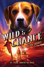 Cover art for Wild & Chance (Wild & Chance, 1)