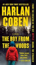Cover art for The Boy from the Woods (Series Starter, The Wilde #1)