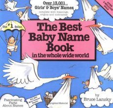 Cover art for The Best Baby Name Book in the Whole Wide World