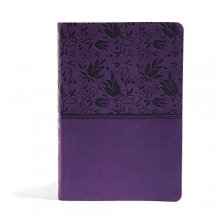 Cover art for NIV Rainbow Study Bible, Purple LeatherTouch Indexed