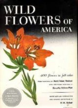 Cover art for Wild Flowers Of America