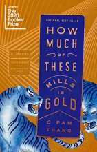Cover art for How Much of These Hills Is Gold: A Novel