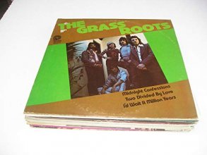 Cover art for The Best of the Grass Roots