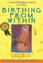 Cover art for Birthing from Within: An Extra-Ordinary Guide to Childbirth Preparation
