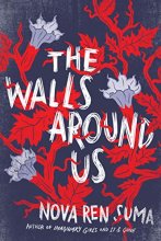 Cover art for The Walls Around Us