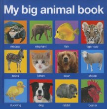 Cover art for My Big Animal Book
