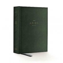 Cover art for NKJV, Abide Bible, Cloth over Board, Green, Red Letter Edition, Comfort Print