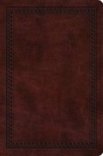 Cover art for ESV Compact Bible (TruTone, Mahogany, Border Design)