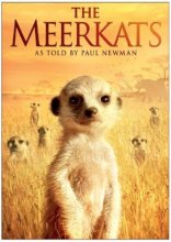 Cover art for The Meerkats